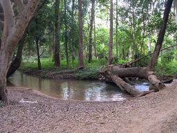 Site of the Cookhouse Tonchan South